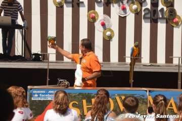 Espectáculo de aves exóticas de Paco Pluma en El Caracol (Foto Francisco Javier Santana)